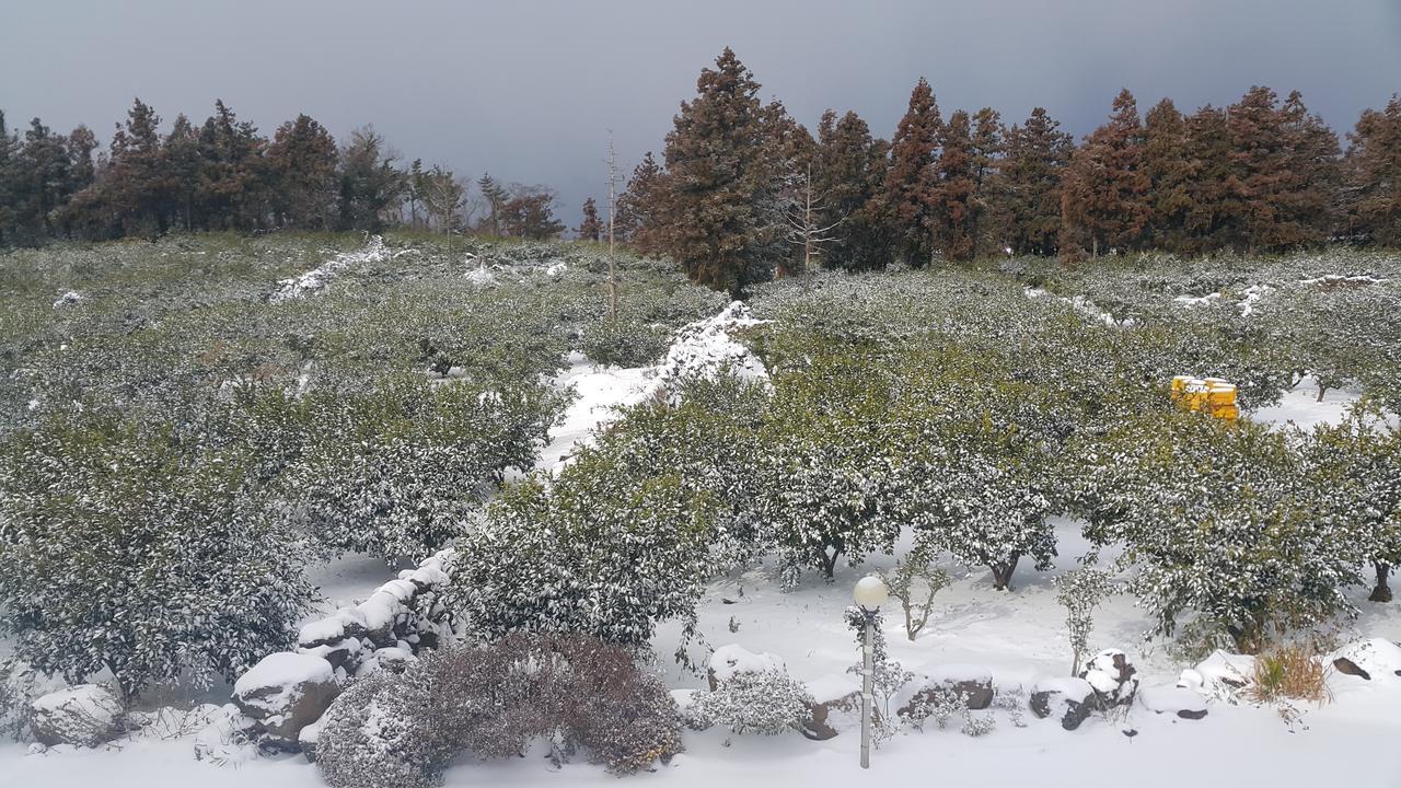 Jeju Mermuri Yerye-dong Luaran gambar