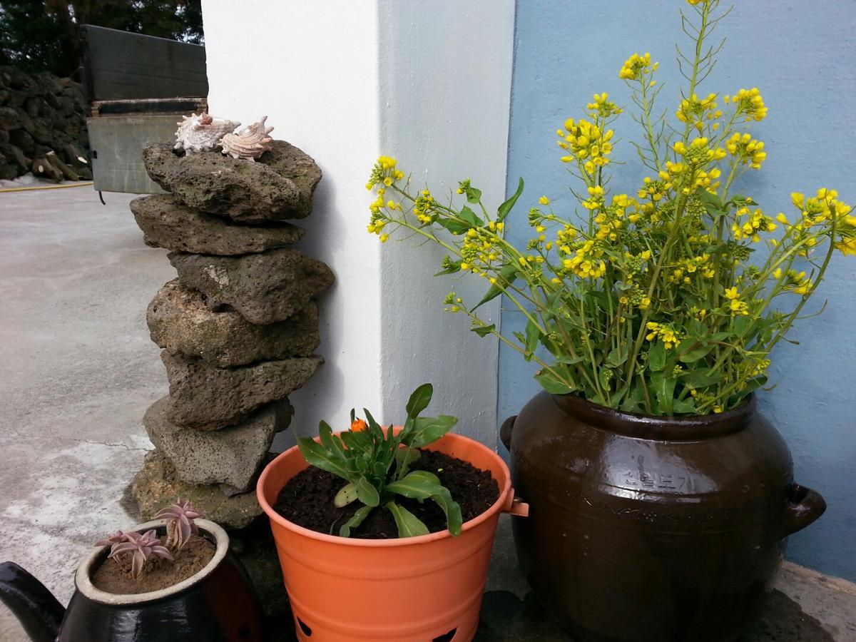 Jeju Mermuri Yerye-dong Luaran gambar