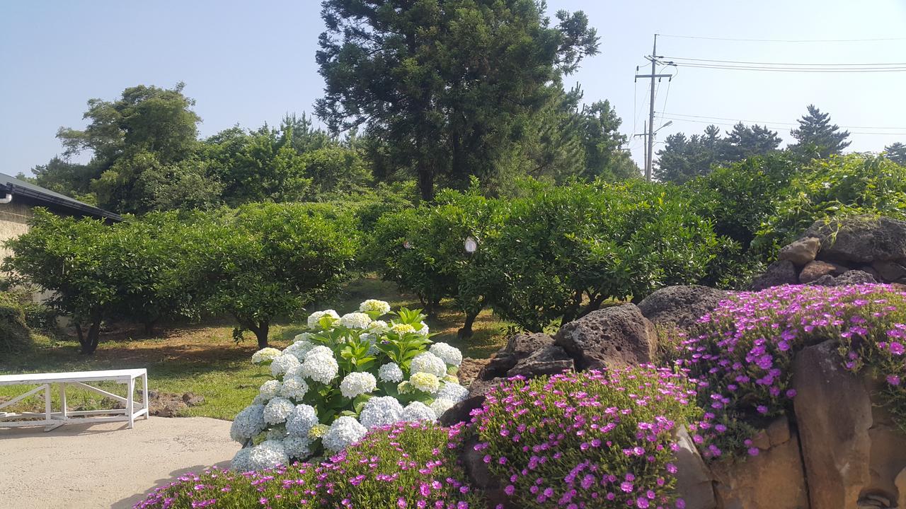 Jeju Mermuri Yerye-dong Luaran gambar