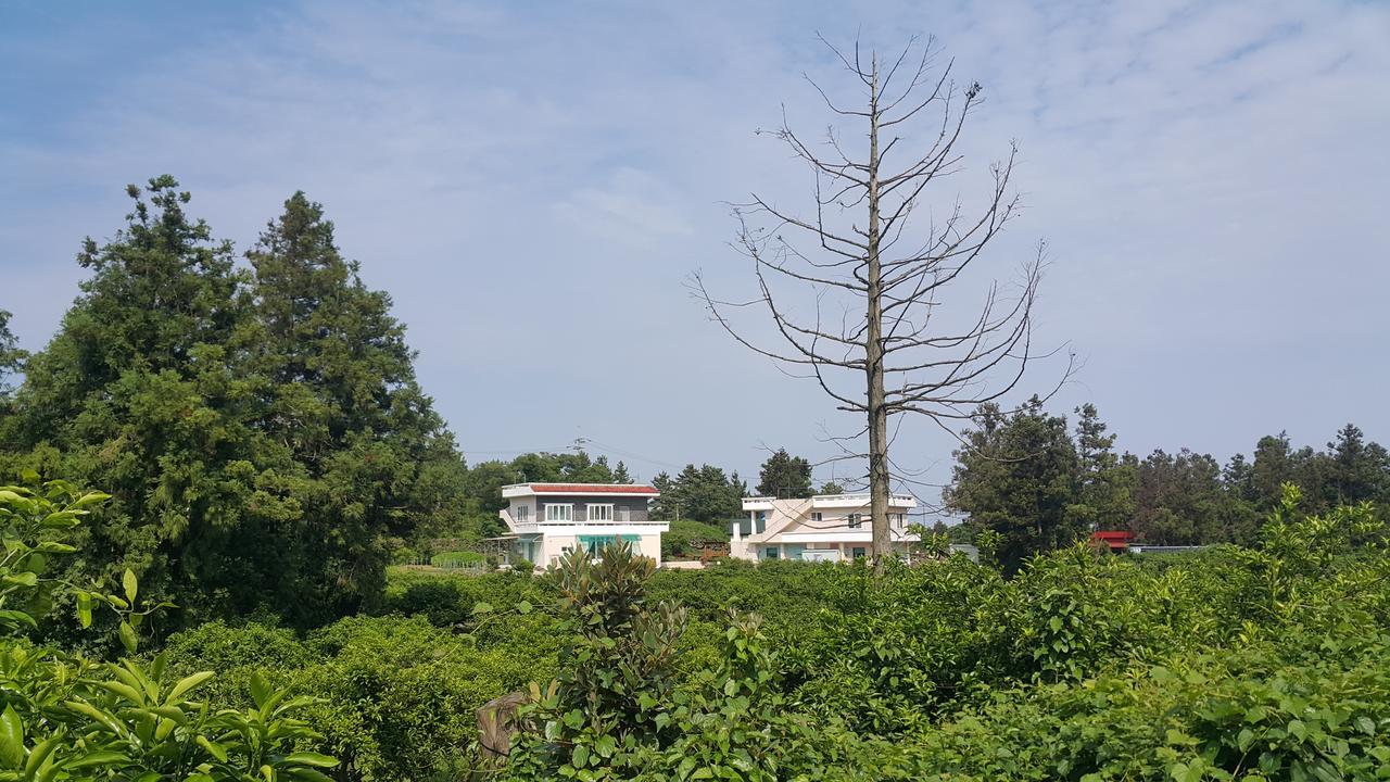 Jeju Mermuri Yerye-dong Luaran gambar