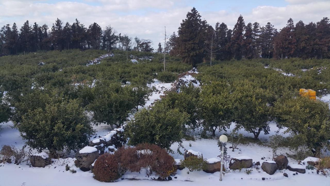 Jeju Mermuri Yerye-dong Luaran gambar