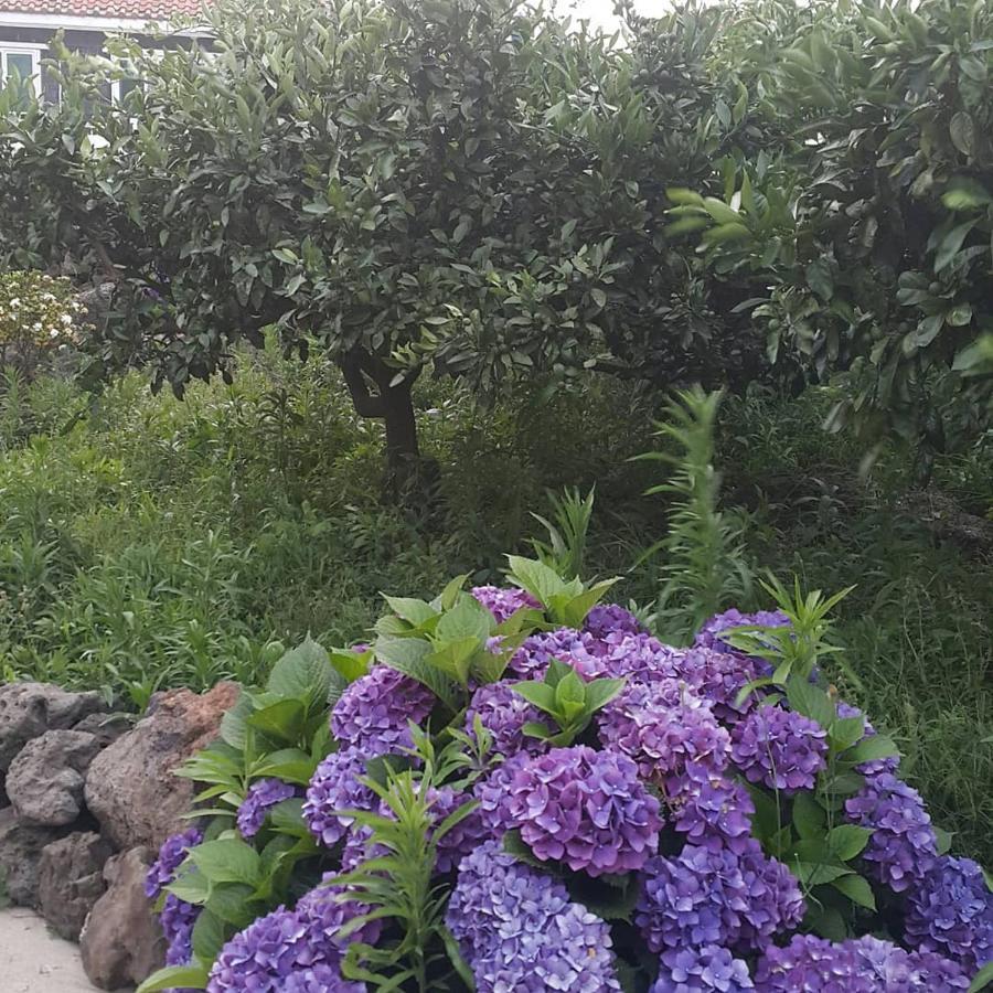 Jeju Mermuri Yerye-dong Luaran gambar