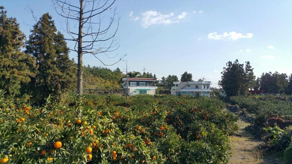 Jeju Mermuri Yerye-dong Luaran gambar