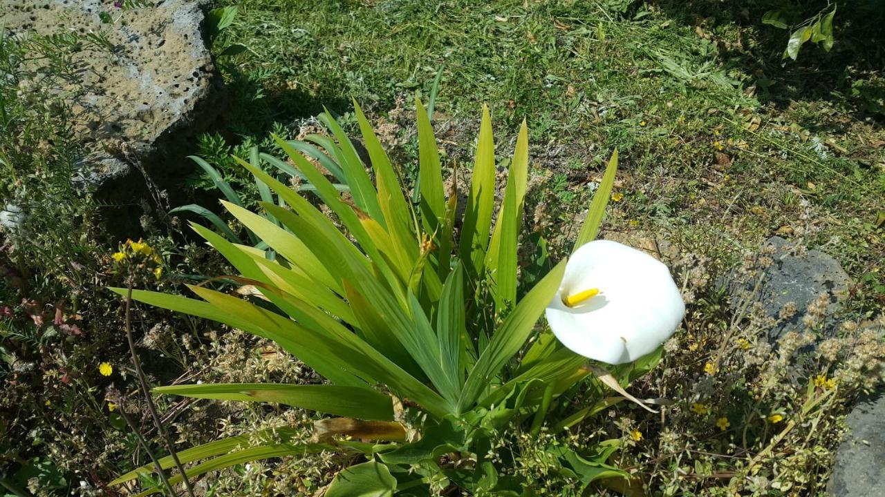 Jeju Mermuri Yerye-dong Luaran gambar